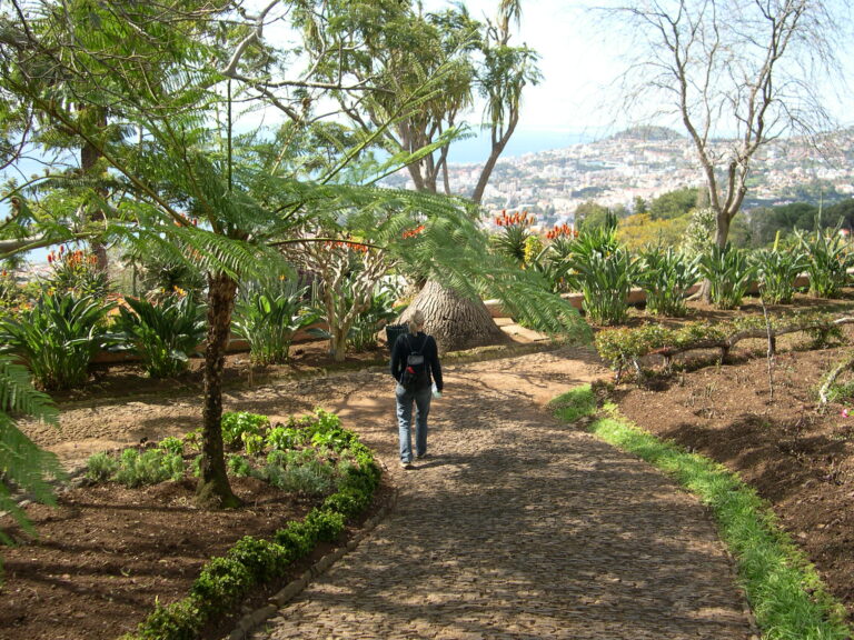 Madeira (5)
